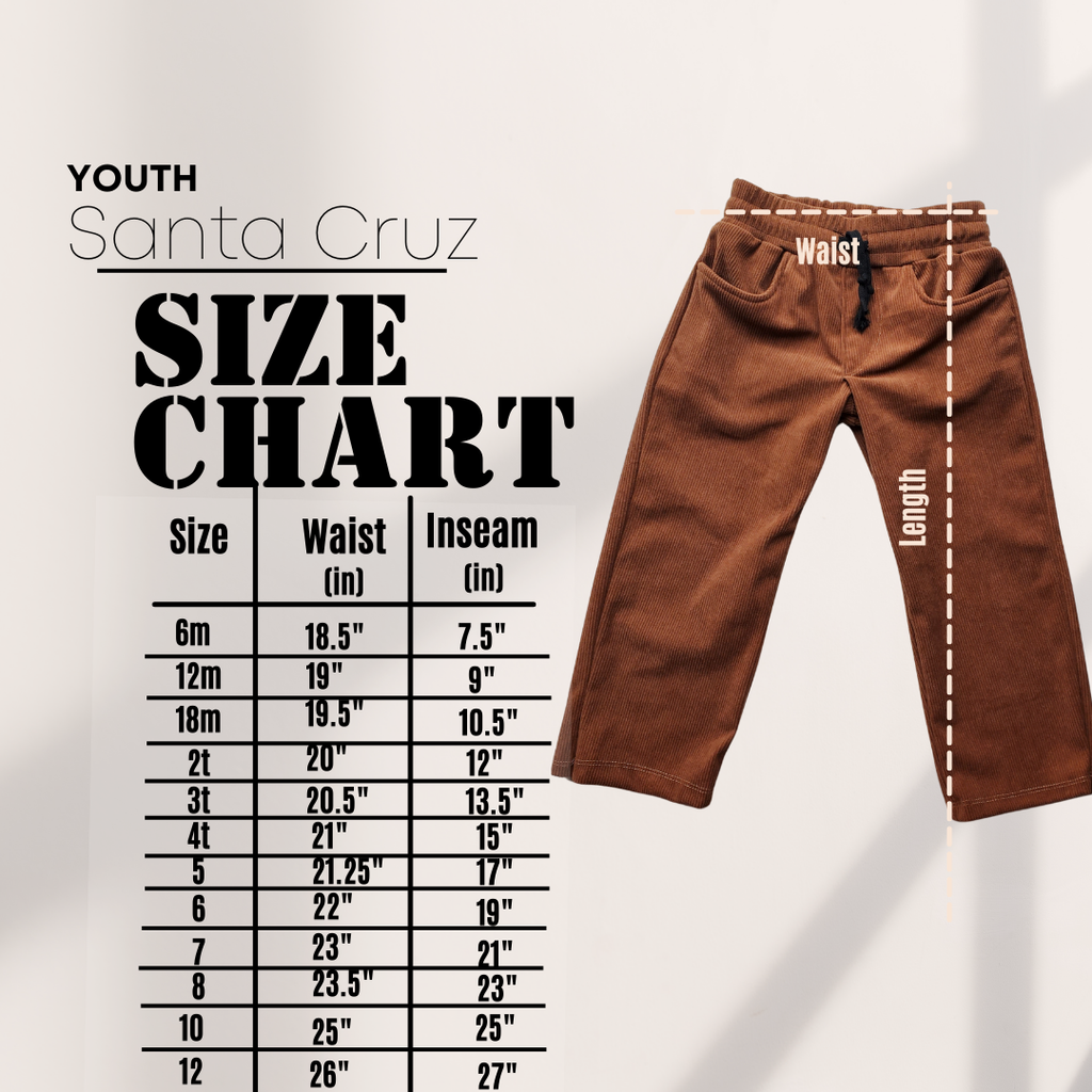 Santa Cruz Corduroy relaxed Fit Pant