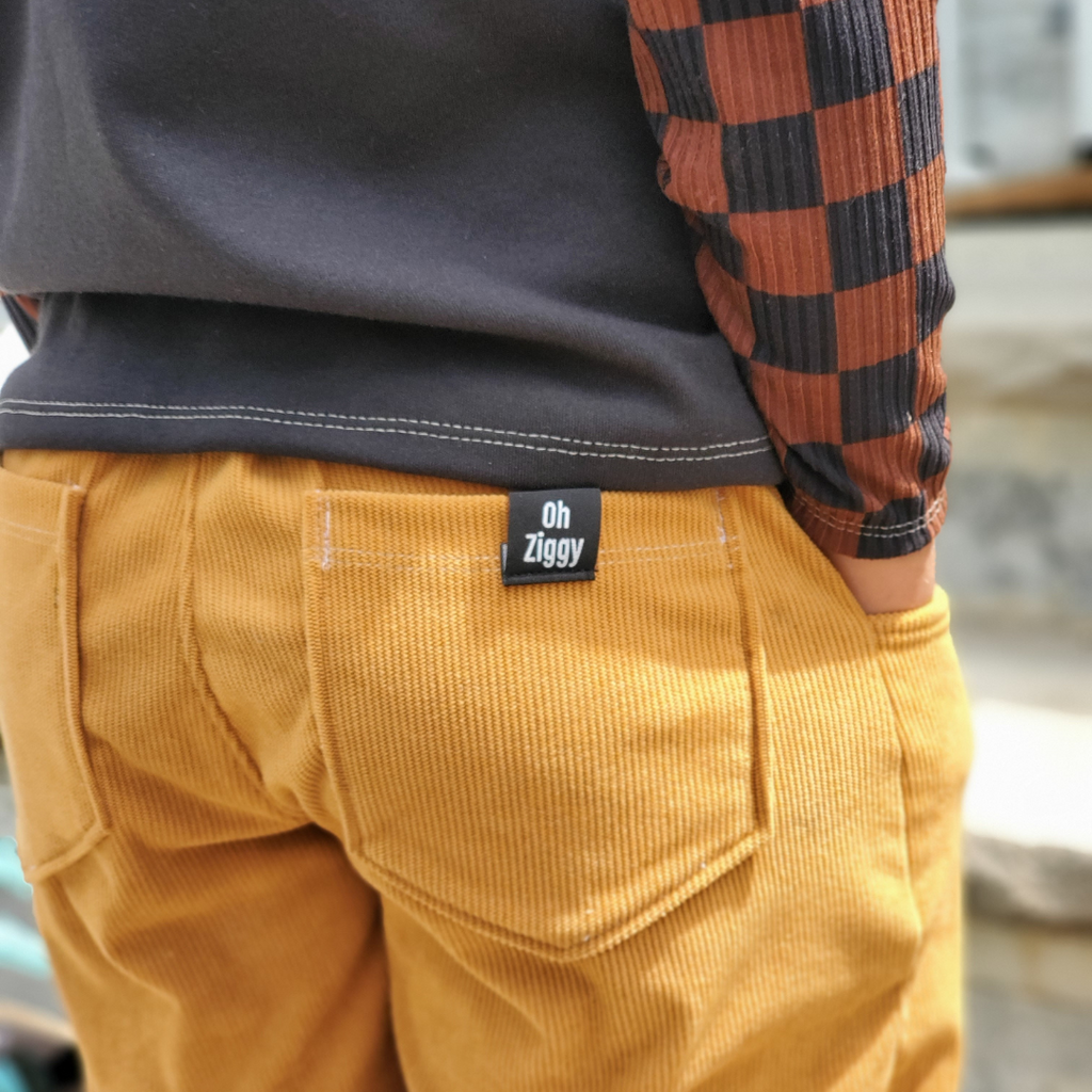 Santa Cruz Corduroy relaxed Fit Pant